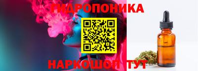 гашик Кимры
