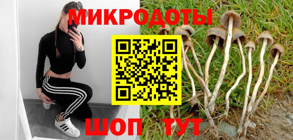 Дюртюли  как найти   Вход с VPN  Псилоцибиновые грибы мицелий 